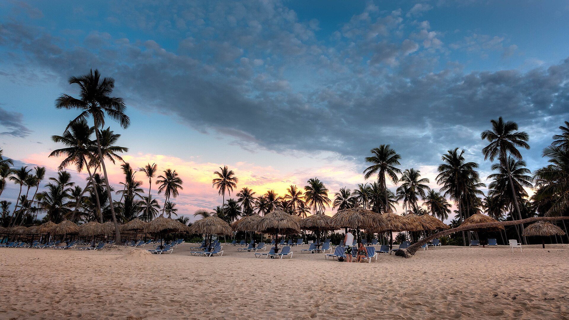 Palm trees on Bávaro beach at sunset, near Punta Cana