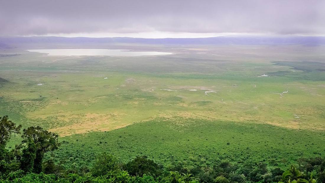 Tanzania Safari + Zanzibar, Tanzania
